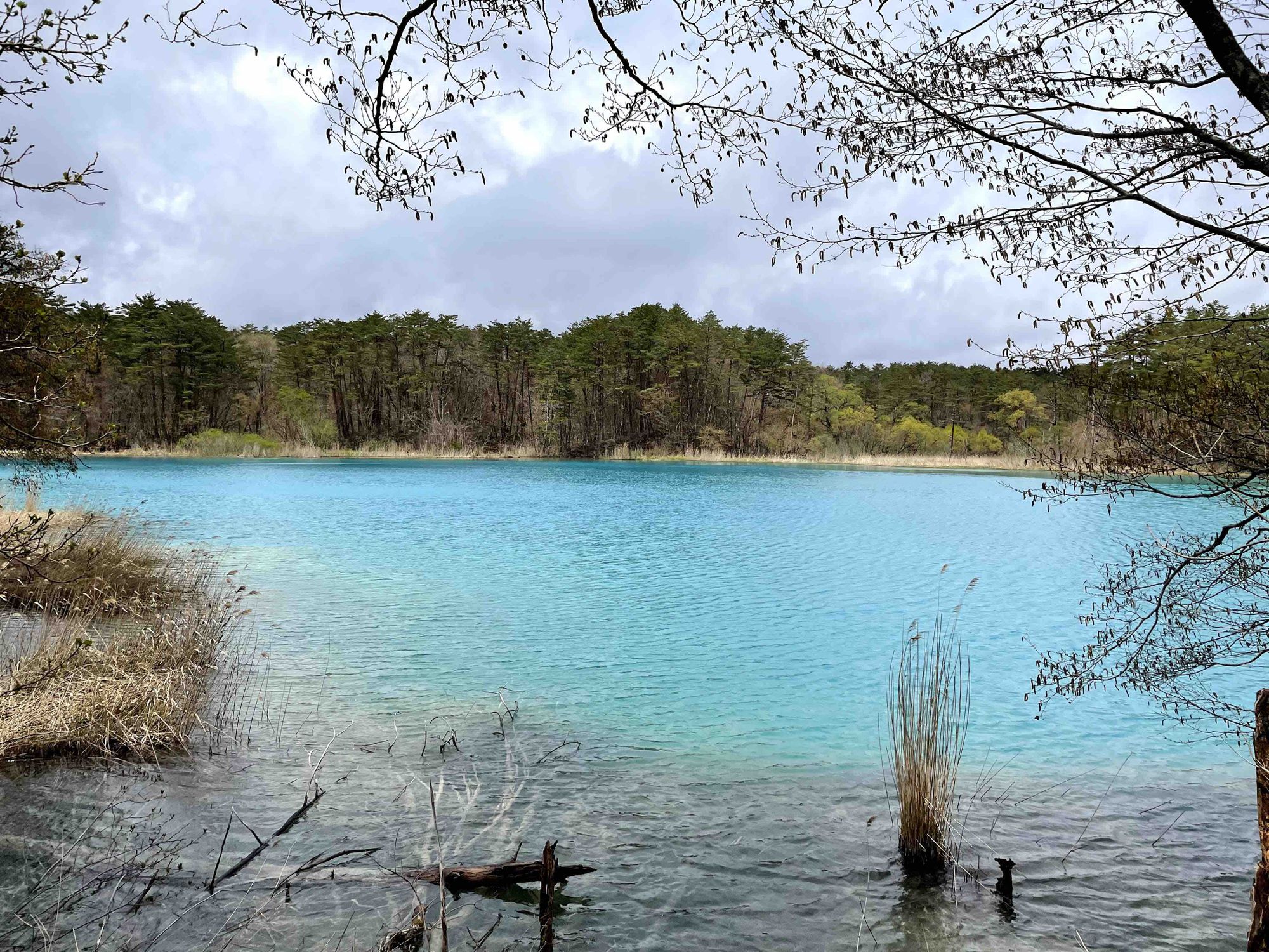 Blue pond goshikinuma fukushima
