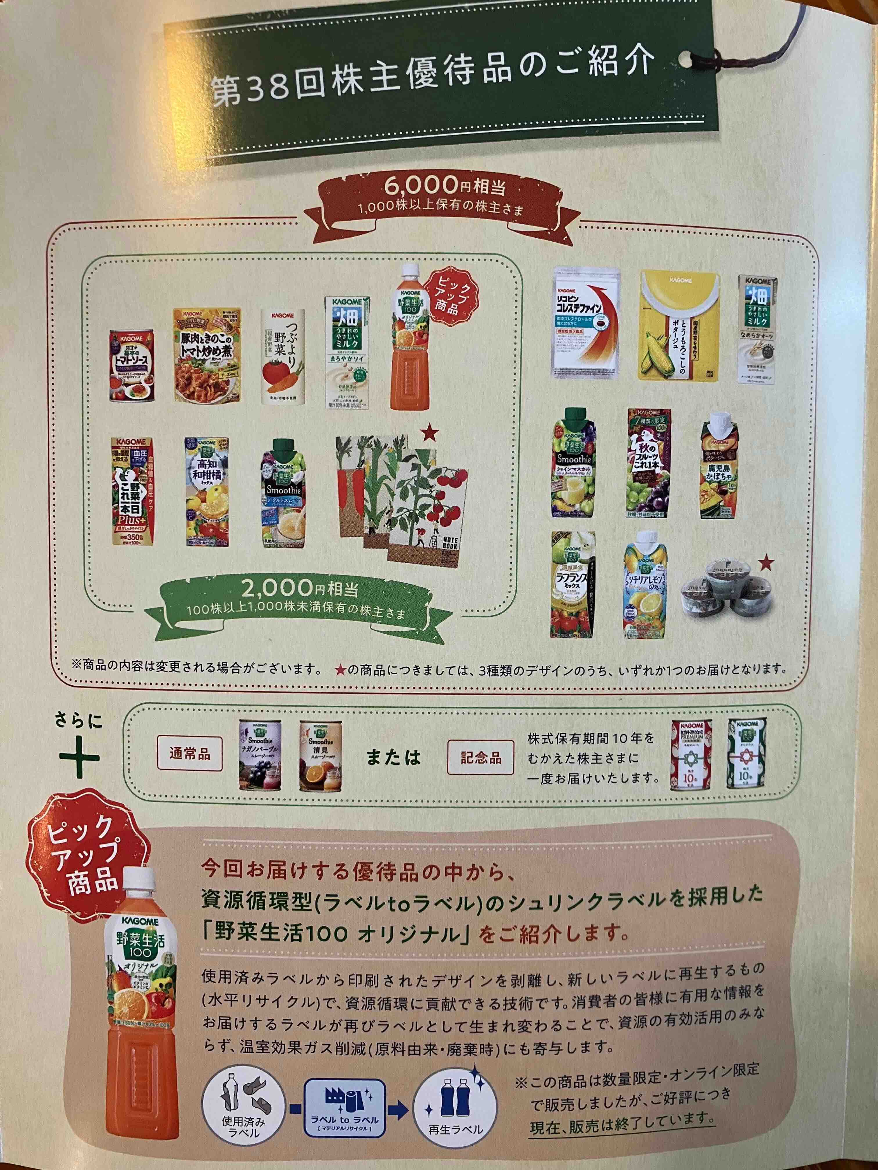 Kagome Kabunushi yutai pamphlet